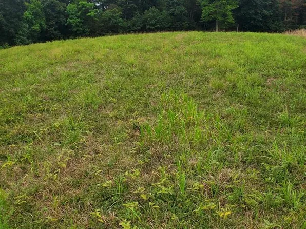 Potomac Ridge Ln Lot 15, Berkeley Springs, WV 25411