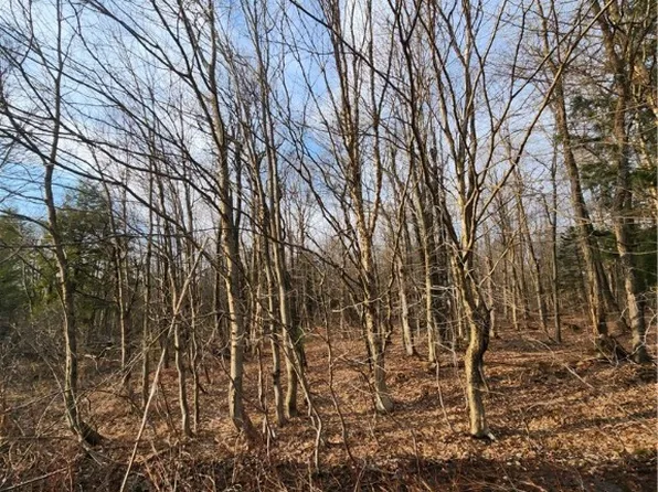 0 Jess Dr #2, Redfield, NY 13437