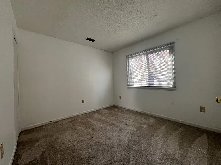 117 Whitehaven Ct — Photo 9