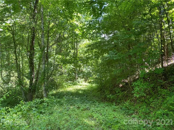 0 Chattooga Run Lot 402, Hendersonville, NC 28739