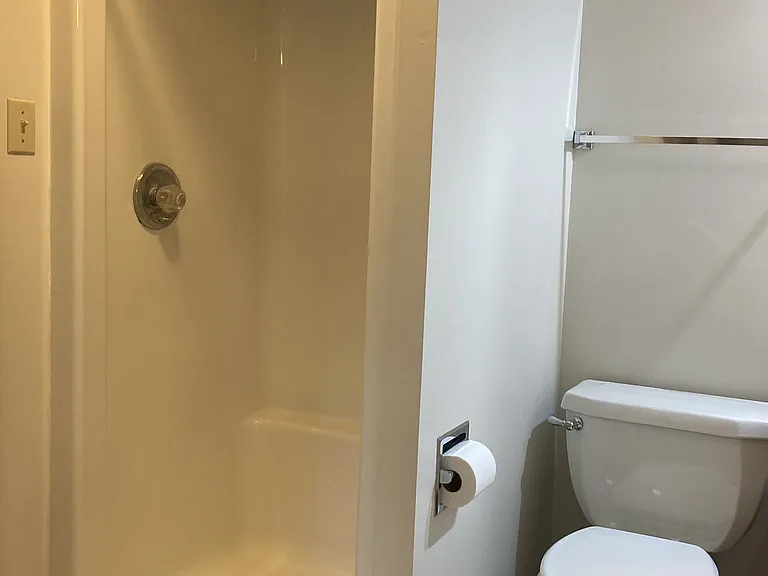 Downstairs Bathroom shower.