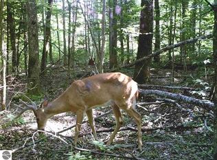 Valley St, Alden, MI 49612