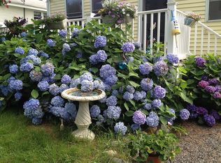 101 Cycad Ave, York, ME 03909