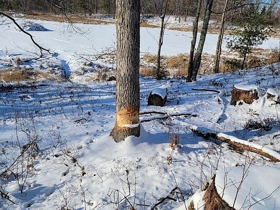 2nd image of 25 Acres Rollingwood Road