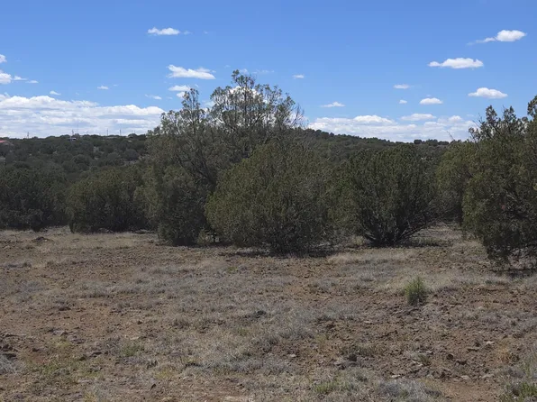 8523 Bobcat Dr, Show Low, AZ 85901