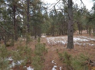 12128 Argyle Rd, Hot Springs, SD 57747