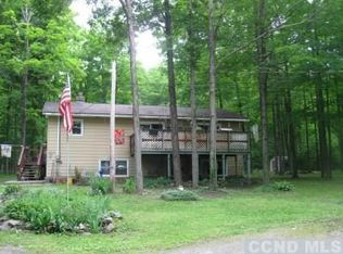 127 Barger Rd, Rensselaerville, NY 12147