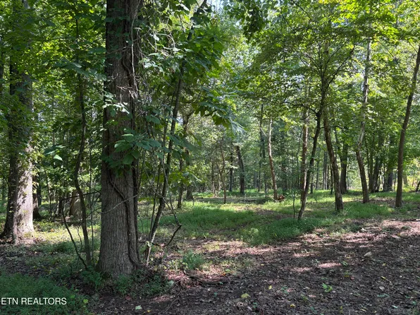 371 Walking Horse Trl, Rockwood, TN 37854