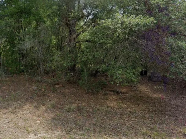 2396 W Magenta Dr Lot 18, Dunnellon, FL 34434