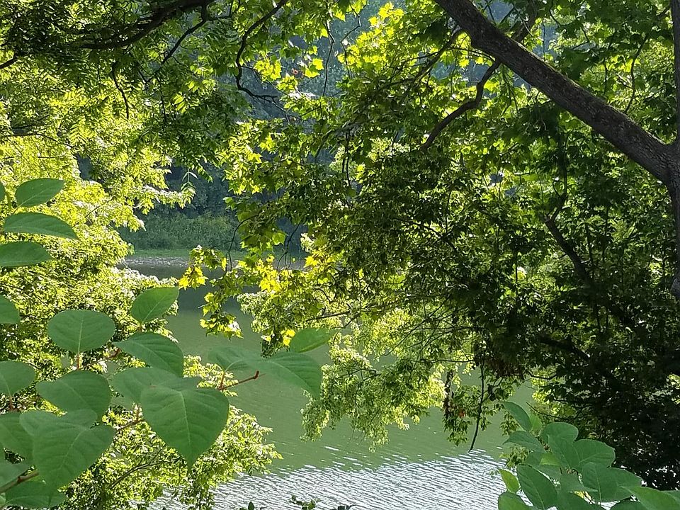 View outside your Living room windows