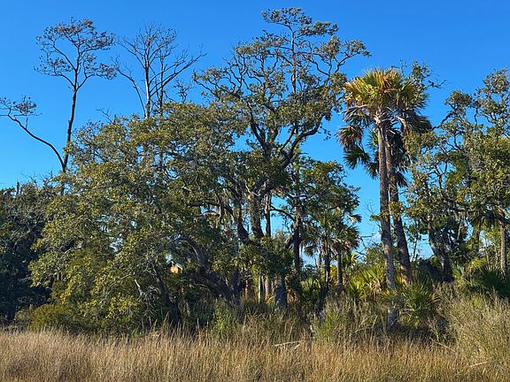 4th image of 0 Palmetto Rd #F