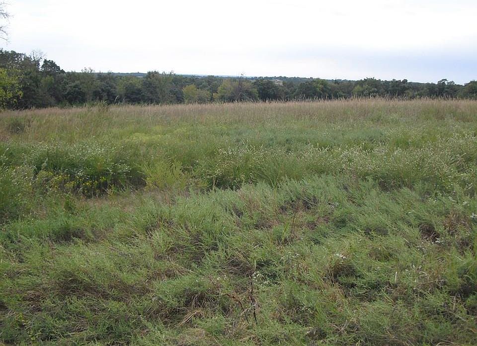 2nd image of 180 Loman Acres