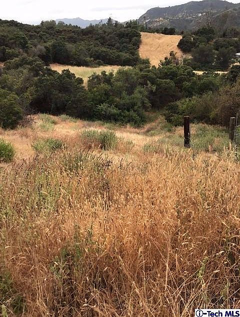 2nd image of 20564 Callon Dr