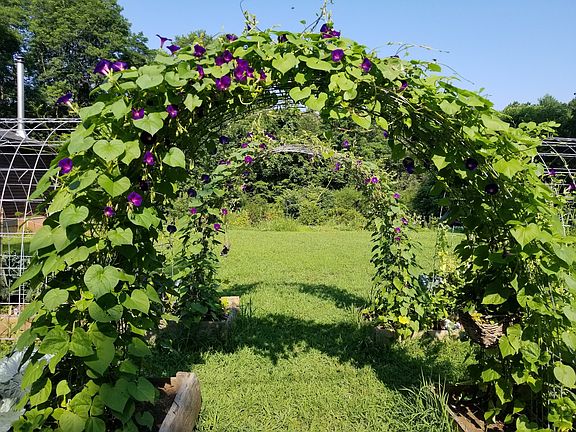 My vertical garden. We may have some garden space to share.