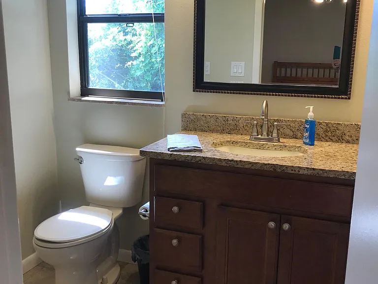 Master bath with large stone shower