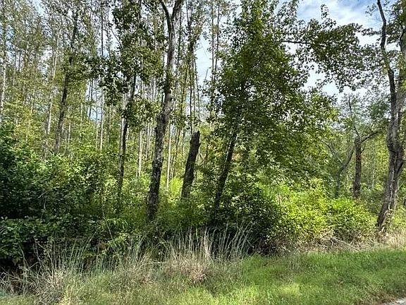 4th image of 6 Butler Rd