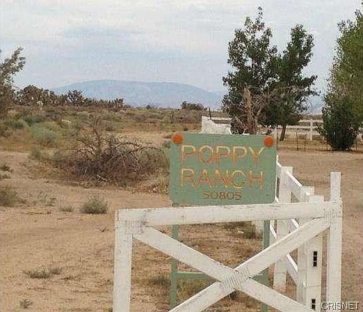 Come see the Poppy Ranch and make it your own!