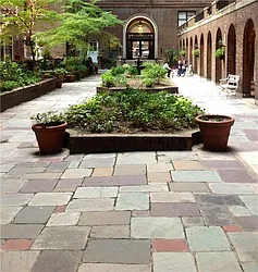 Rented by Nancy Packes Inc.