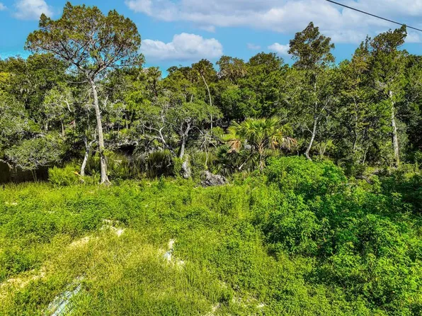 Lot 1&2 SE Granger Rd, Steinhatchee, FL 32359