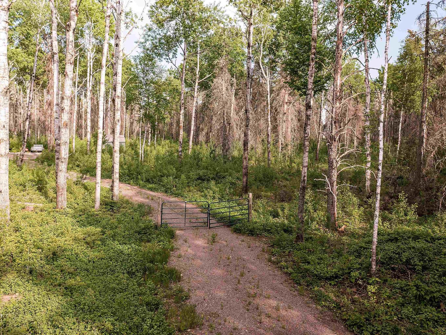 9884 Fredrickson Ln, Isabella, MN 55607 Zillow