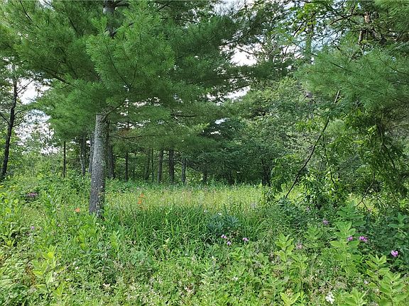 3rd image of Lot 2 S Riverside Road