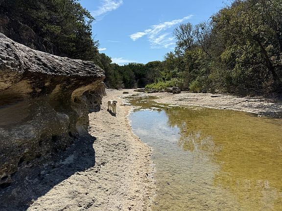 Hog Creek / Rock Bottom