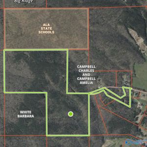 1965 Alabama Ave #11, Collinsville, AL, 35961
