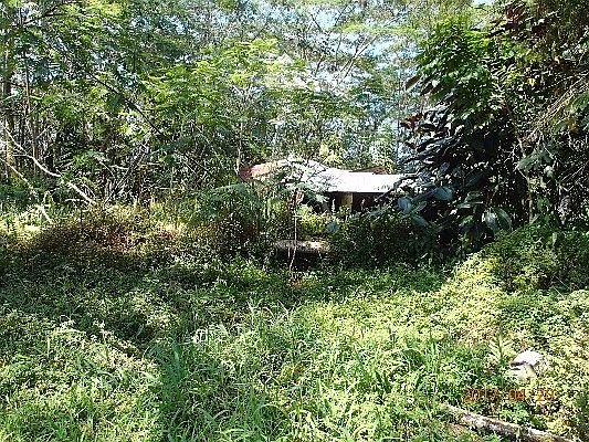 2nd image of 35th Ave Lot 14