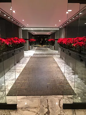 Rented by Compass | media 25