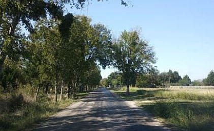 4th image of 190 Alma Dr