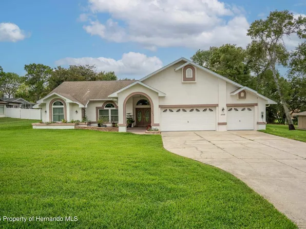 1005 Druid Rd, Spring Hill, FL 34609
