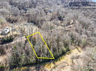 6 Spruce Flats Rd, Maggie Valley, NC 28751