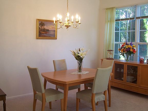 Sunlit Dining Room 