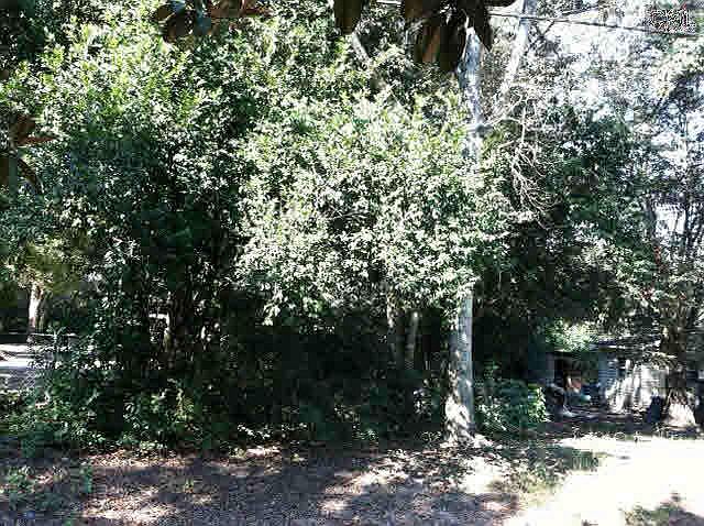 2nd image of 1122A Smyrl Cir