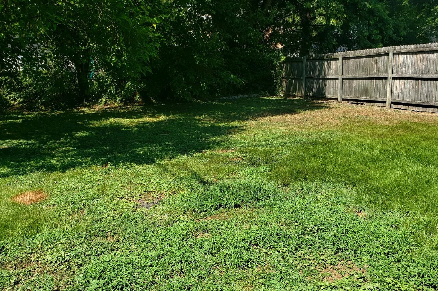 431 Howell Dr — Photo 2
