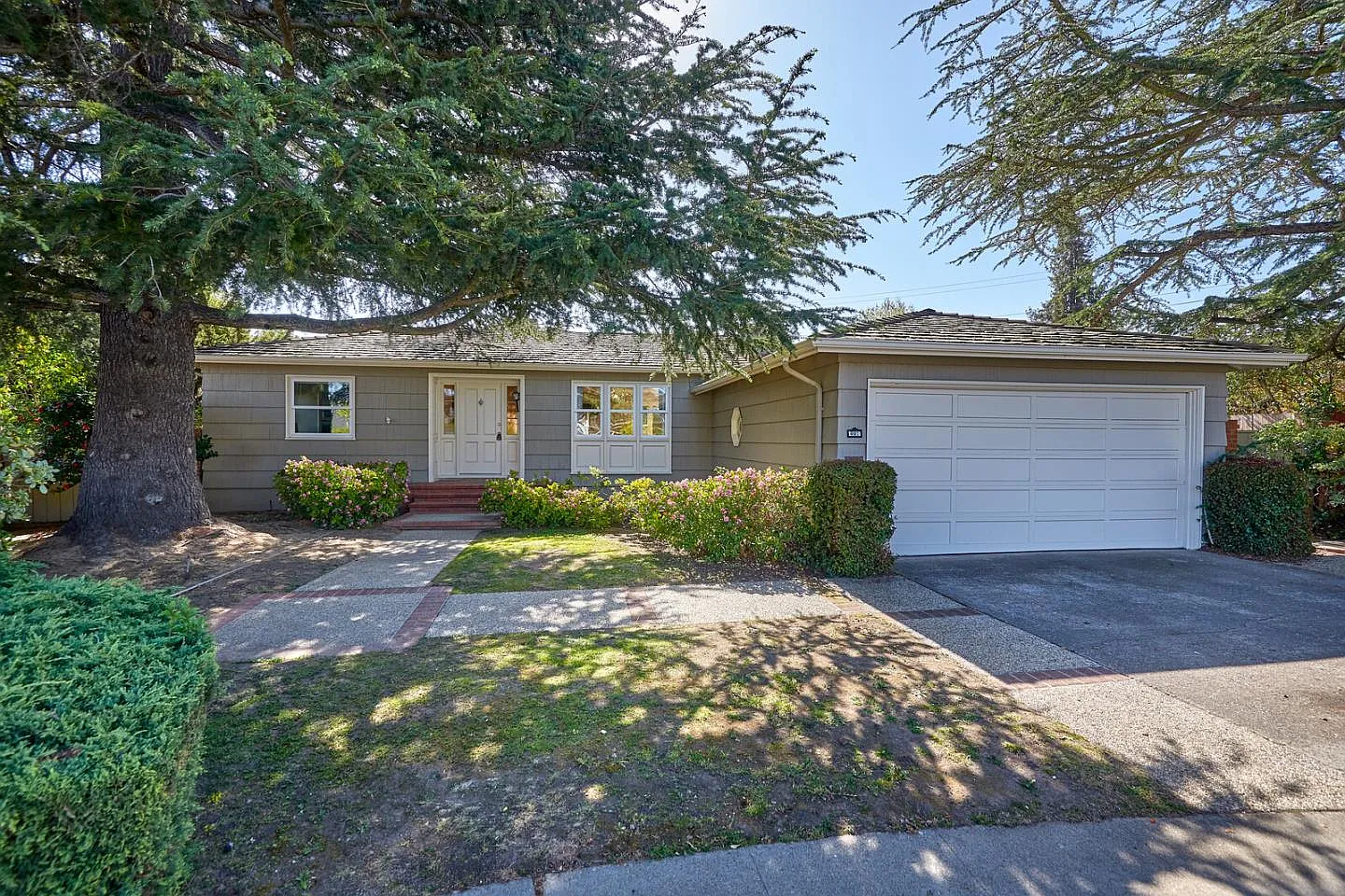 401 Alder Ln photo 1