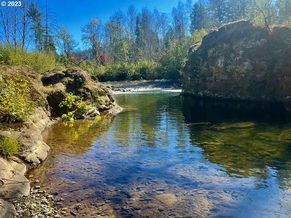 45620 McKenzie Hwy, Vida, OR 97488