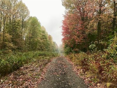 Bryant, Garrettsville, OH, 44231