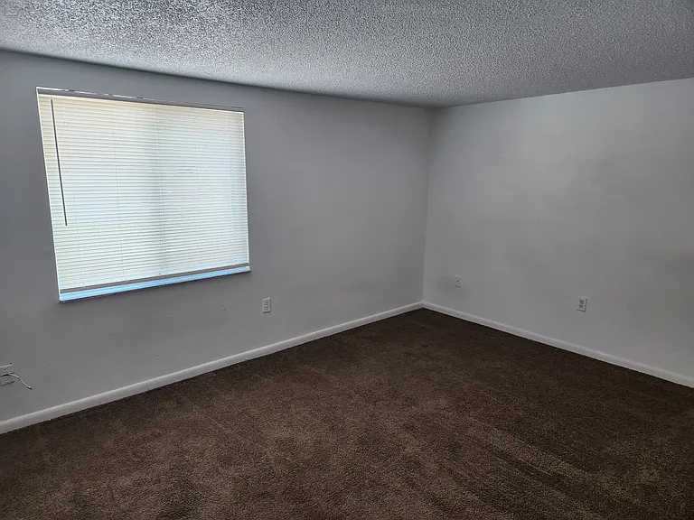 15530 N Nebraska Ave #B — Photo 5