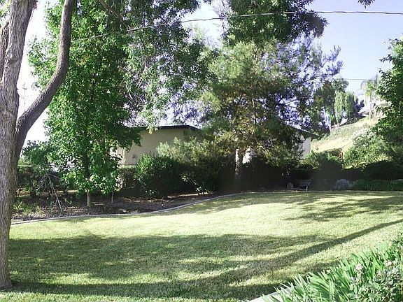 Lush back/side yard