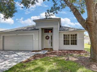 2737 Pankaw Ln, Valrico, FL 33596