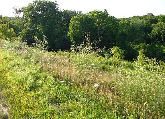 2nd image of LOT 15 Honeycut Ave