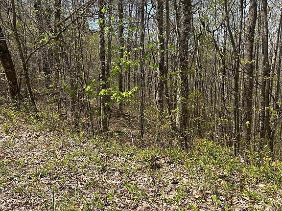 5th image of LOT 28 Jones Ridge Rd
