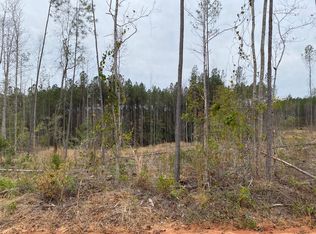 LOT Robert Moore Rd, Chunky, MS 39323