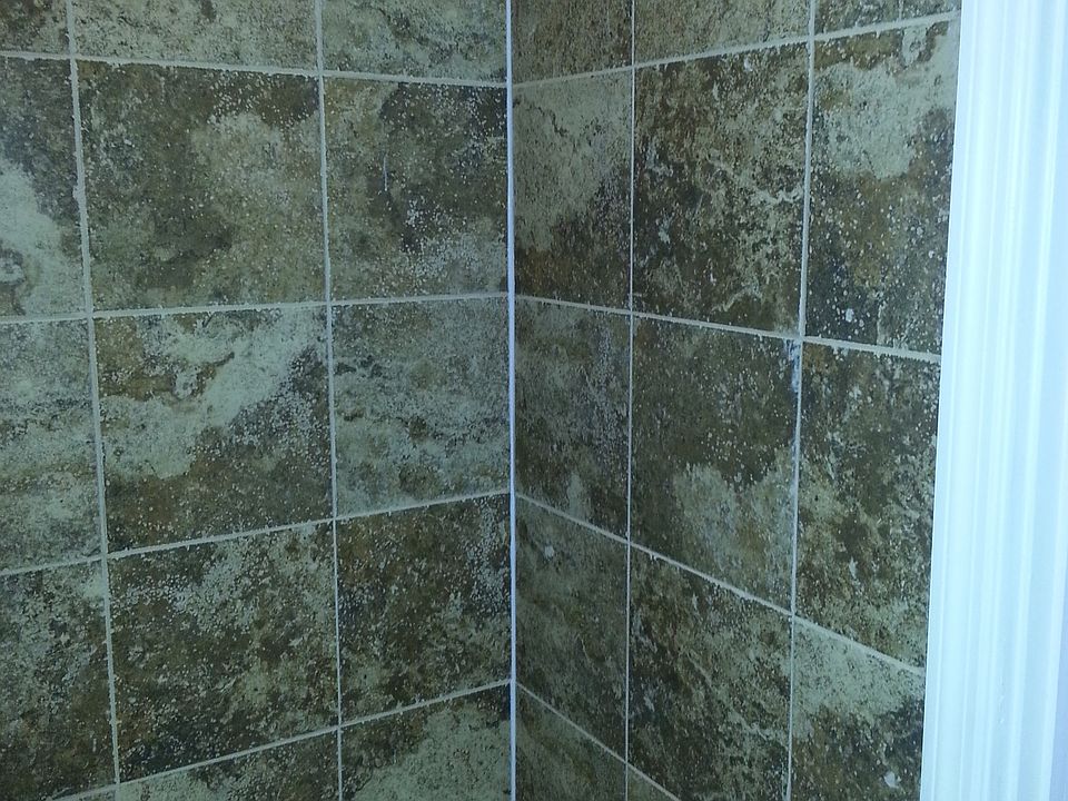 2nd image of 730 Cortlandt St #4