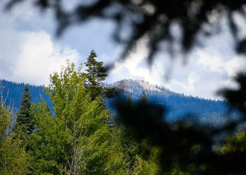 1st image of 1021 Fireweed Dr