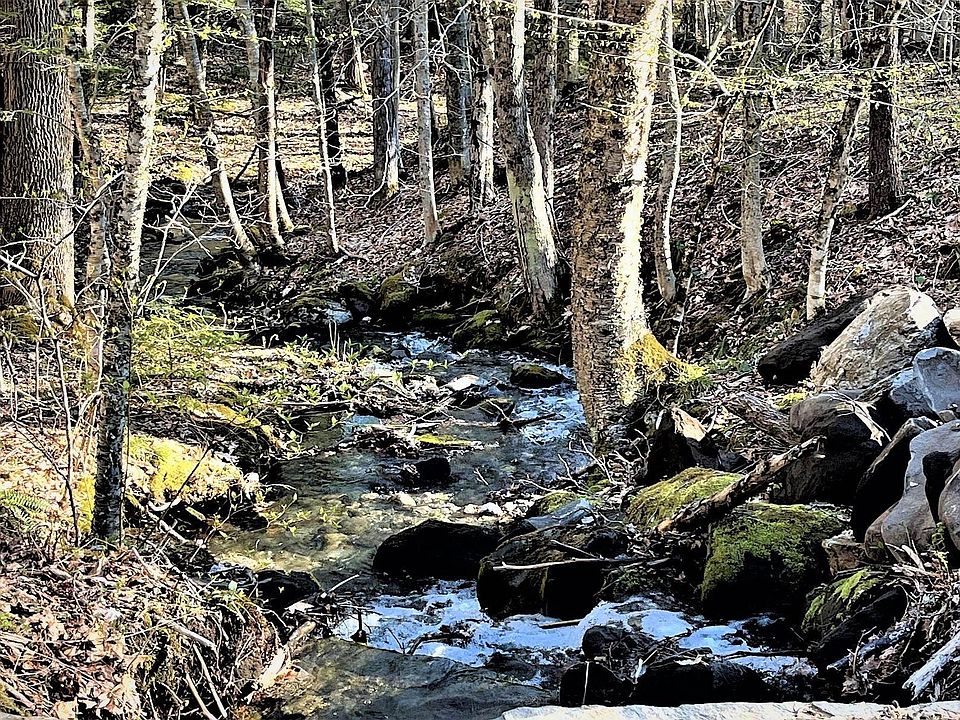 00 Route 106, Reading, VT 05062 MLS 4937260 Zillow