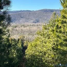 1st image of 1 Secretarys Sand Rd #2