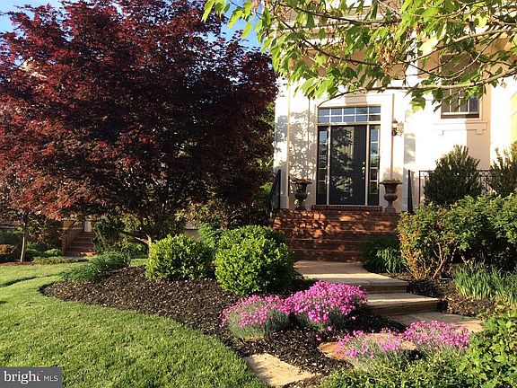 Beautiful  in bloom. Spring of 2018.