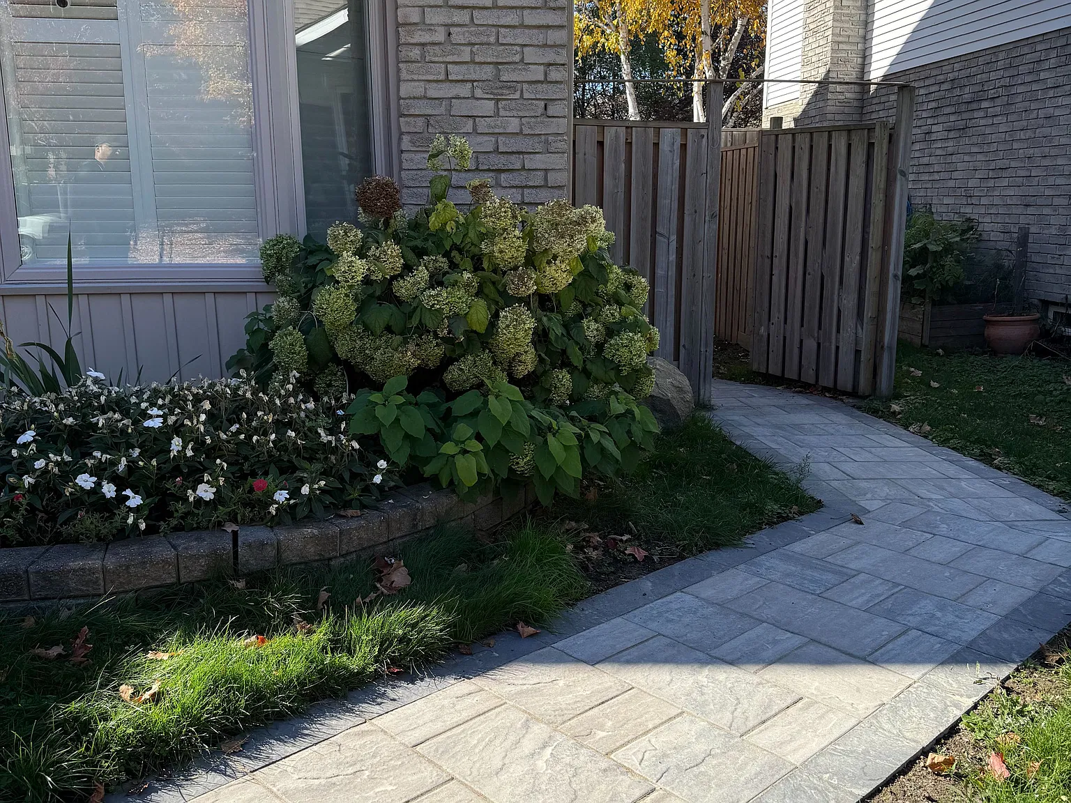 2 bed, $1,600 — Photo 3
